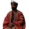 Children of Blood and Bone King Saran Embroidered Cloak