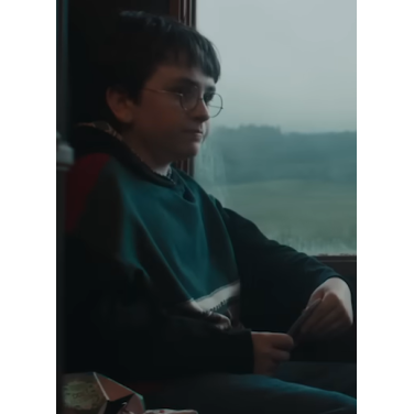 Harry Potter 2026 Colorblock Hoodie