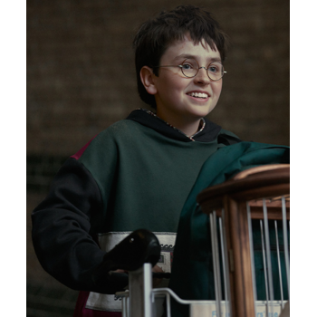 Harry Potter 2026 Colorblock Hoodie