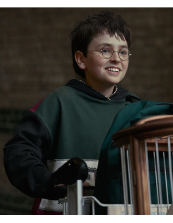 Harry Potter 2026 Colorblock Hoodie