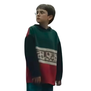 Harry Potter 2026 Colorblock Hoodie