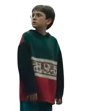 Harry Potter 2026 Colorblock Hoodie