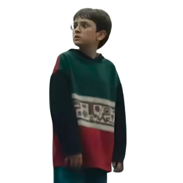 Harry Potter 2026 Colorblock Hoodie