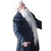 Harry Potter Albus Dumbledore Long Coat