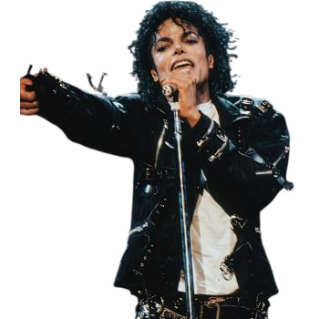 Michael Jackson Black Jacket
