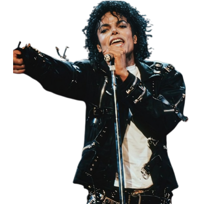 Michael Jackson Black Jacket