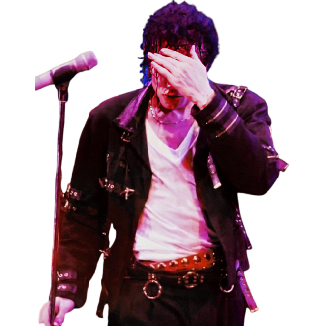 Michael Jackson Black Jacket