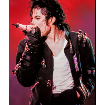 Michael Jackson Black Jacket