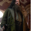 Nick Frost Harry Potter Rubeus Hagrid Coat