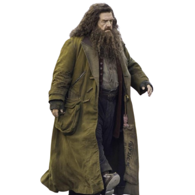 Nick Frost Harry Potter Rubeus Hagrid Coat