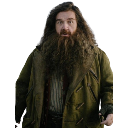 Nick Frost Harry Potter Rubeus Hagrid Coat