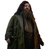 Nick Frost Harry Potter Rubeus Hagrid Coat