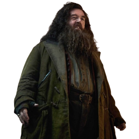 Nick Frost Harry Potter Rubeus Hagrid Coat