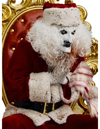 Scary Movie 6 Artie Claus Costume