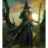 Wicked For Good Elphaba Black Coat