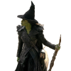 Wicked For Good Elphaba Black Coat