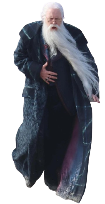 Harry Potter Albus Dumbledore Green Coat